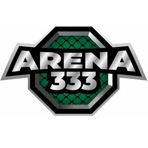 ARENA333 - Game Balap Terbaik untuk Penggemar Kecepatan